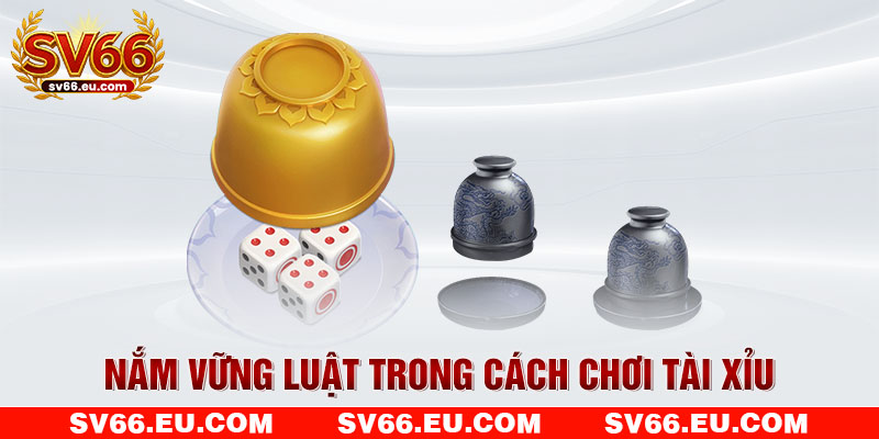 Nắm vững luật trong cách chơi Tài Xỉu Nắm vững luật trong cách chơi Tài Xỉu