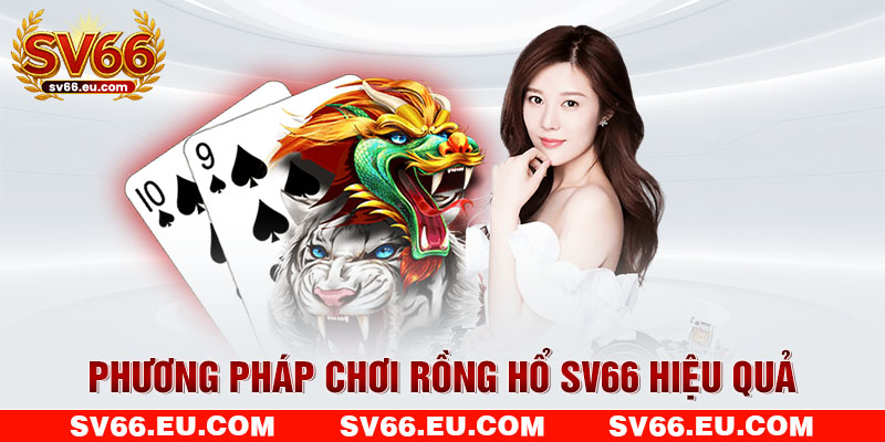 Phương pháp chơi Rồng Hổ SV66 hiệu quả Phương pháp chơi Rồng Hổ SV66 hiệu quả